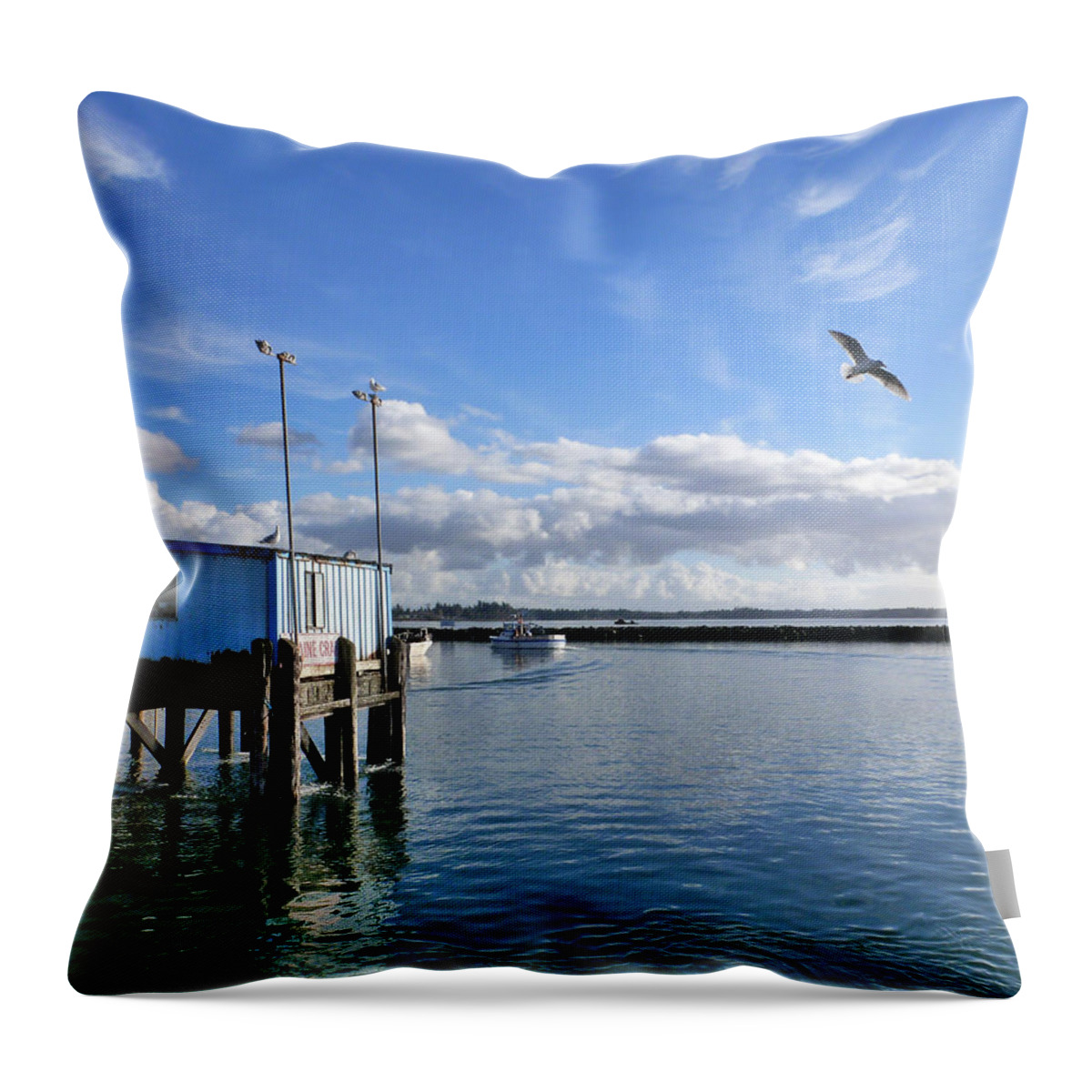 Blaine Throw Pillow featuring the photograph Morning in Blaine by Christine Burdine