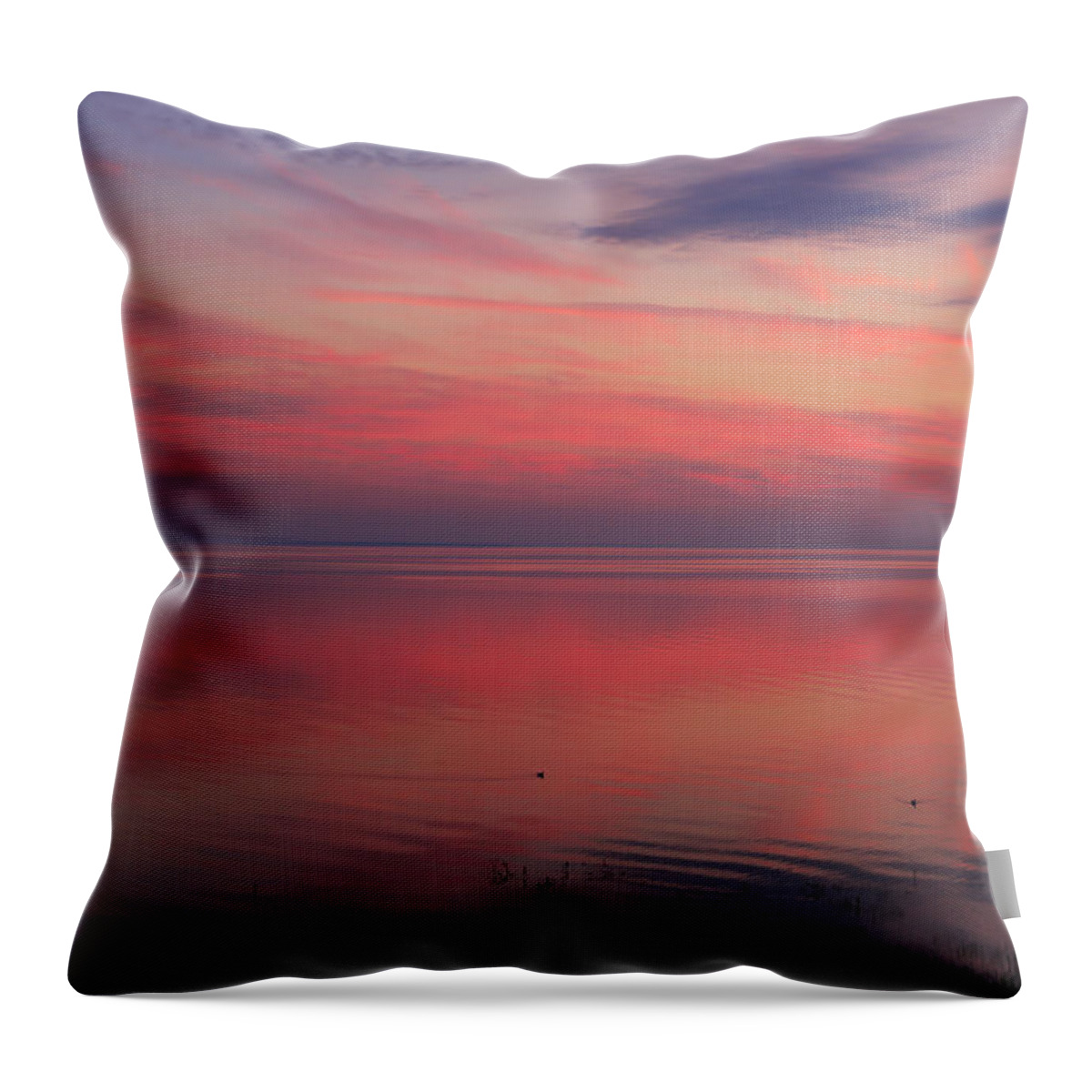Morning In Pink Throw Pillow featuring the photograph Morning in Pink by Rachel Cohen