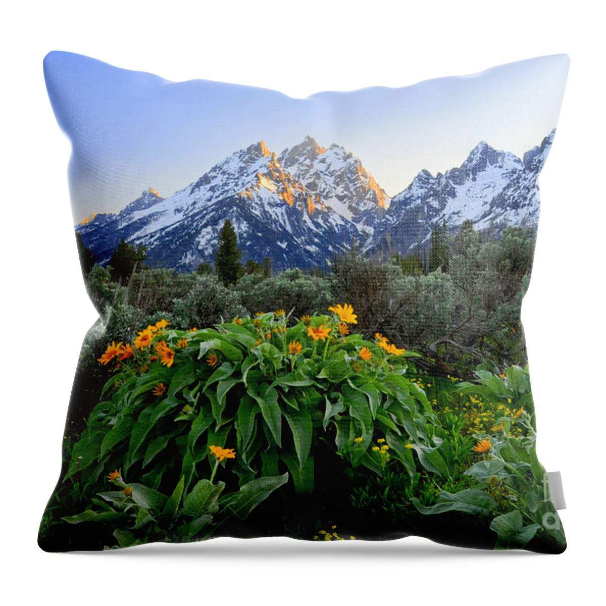 Grand Teton National Park Throw Pillow featuring the photograph Morning in Teton by Deby Dixon