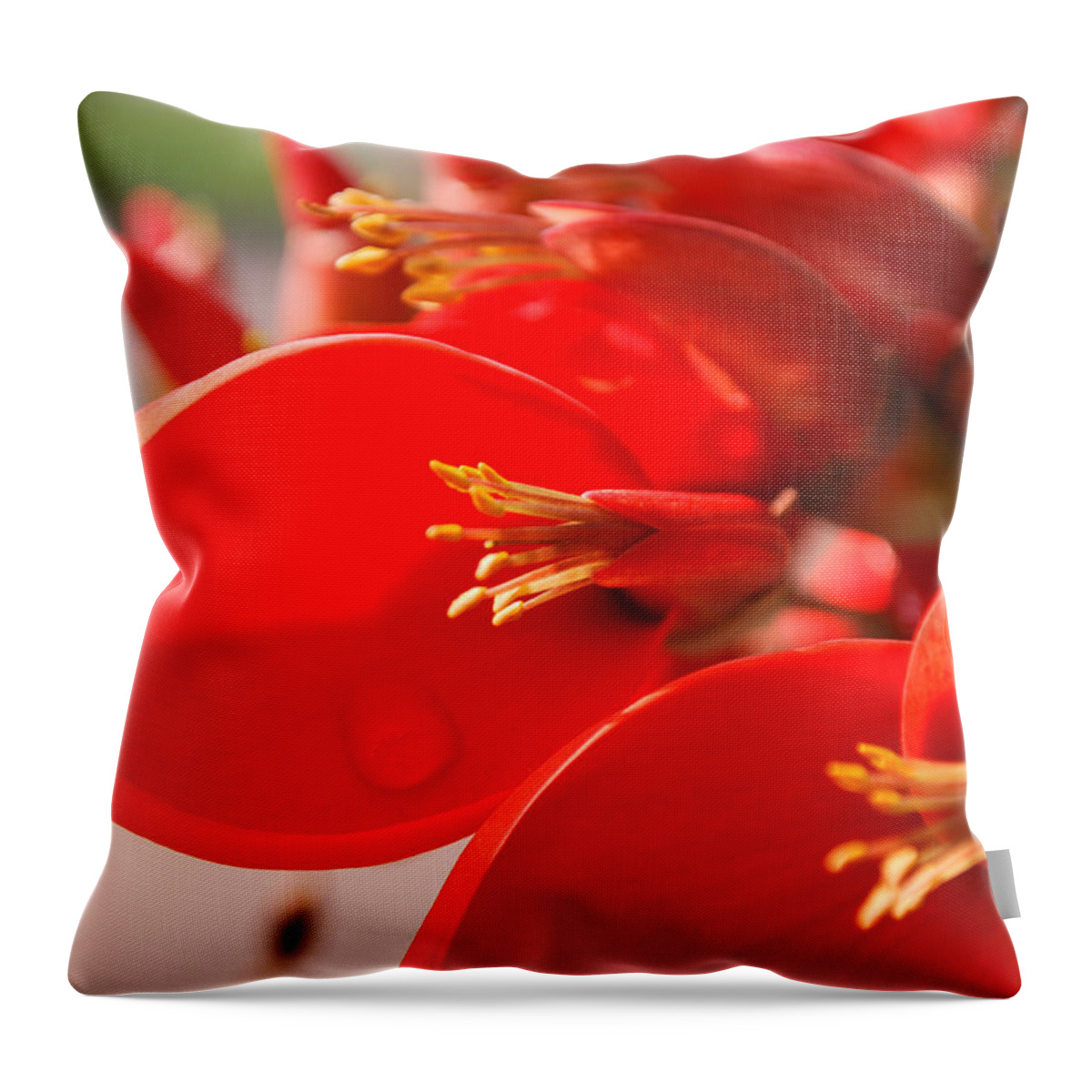 Indonesia Throw Pillow featuring the photograph Morning Jog by Miguel Winterpacht