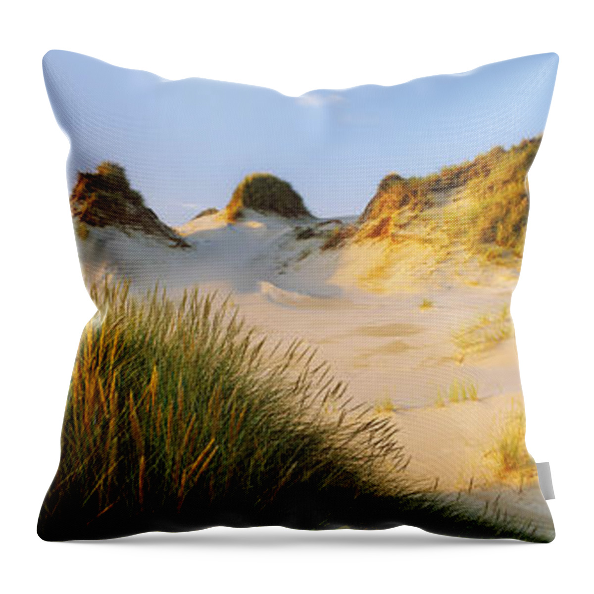 Photography Throw Pillow featuring the photograph Morning Light On Forvie Dunes by Panoramic Images