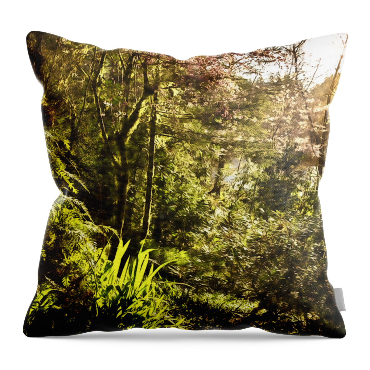 Garden Throw Pillow featuring the photograph Morning Light on the Garden Path by Belinda Greb