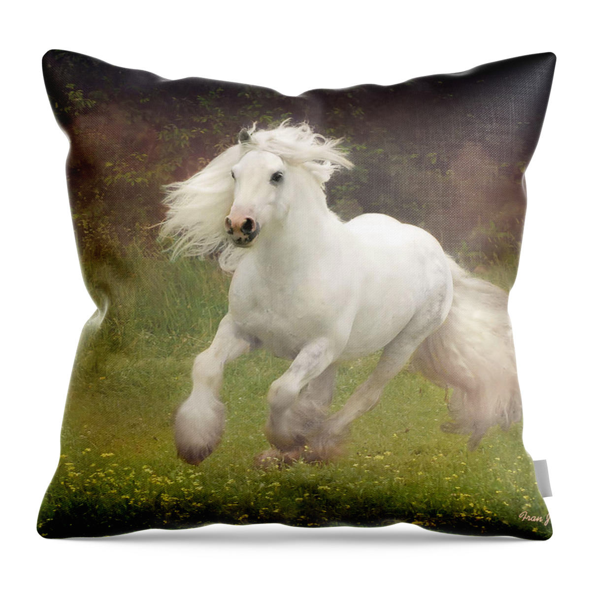 Horses Throw Pillow featuring the photograph Morning Mist C by Fran J Scott