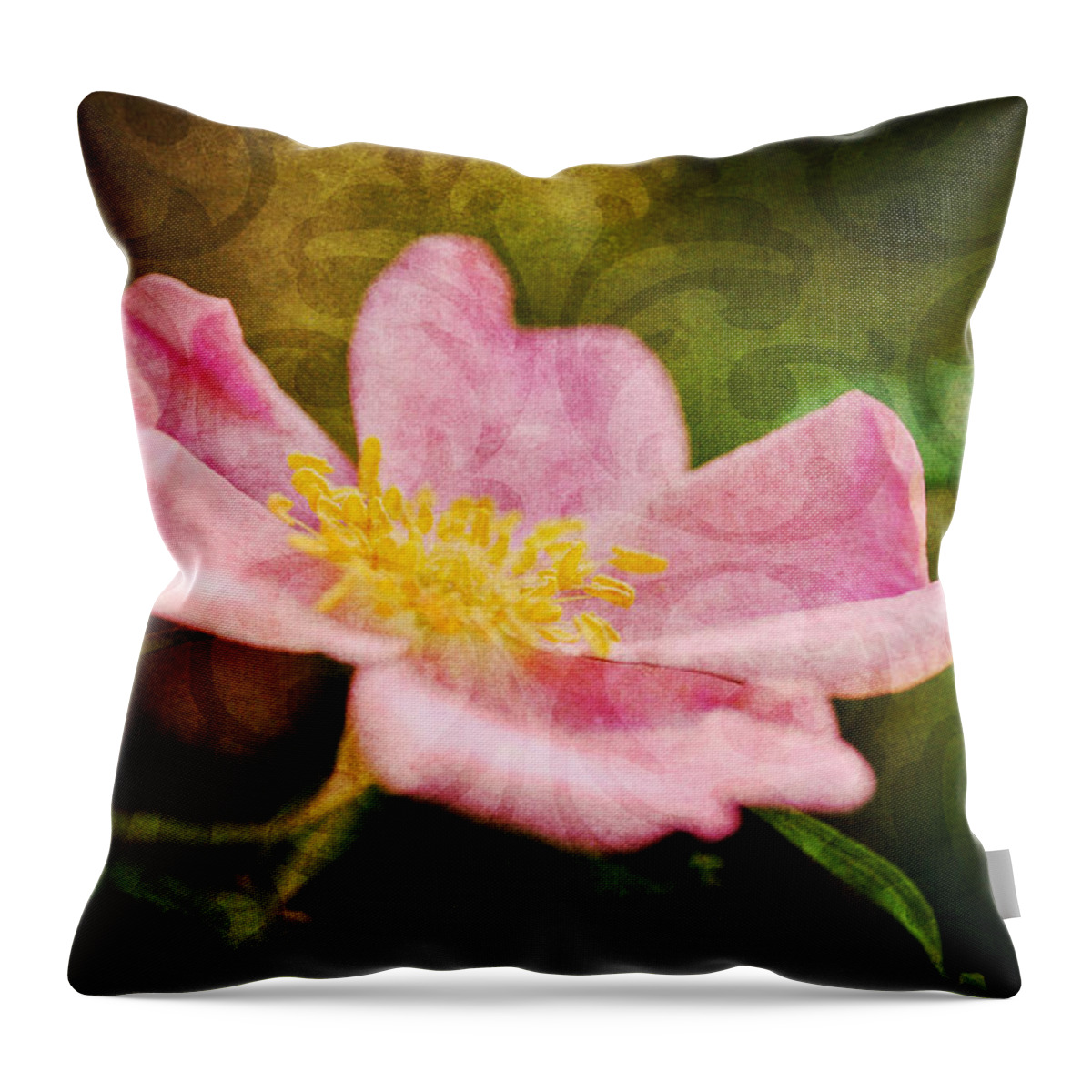 Rose Throw Pillow featuring the photograph Morning Rose by Kelly Nowak