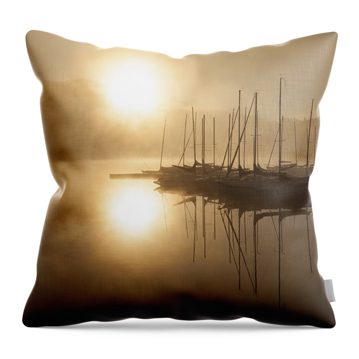 Soleil Throw Pillow featuring the photograph Morning Sun by Eunice Gibb