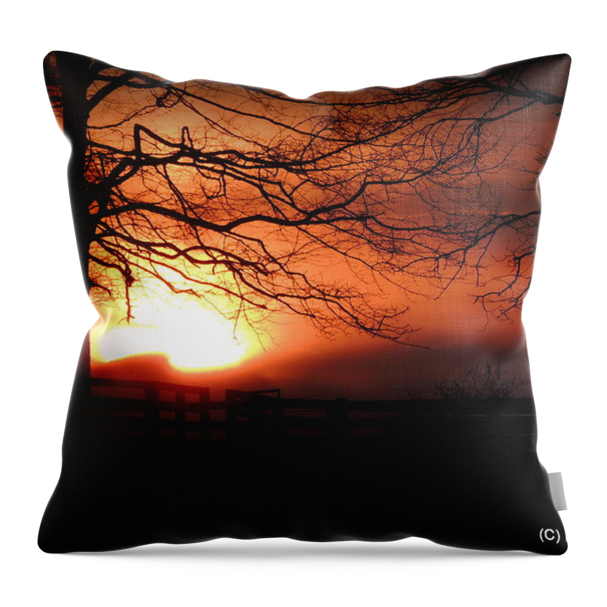Sunrise Throw Pillow featuring the photograph Morning Sunrise by Rabiah Seminole