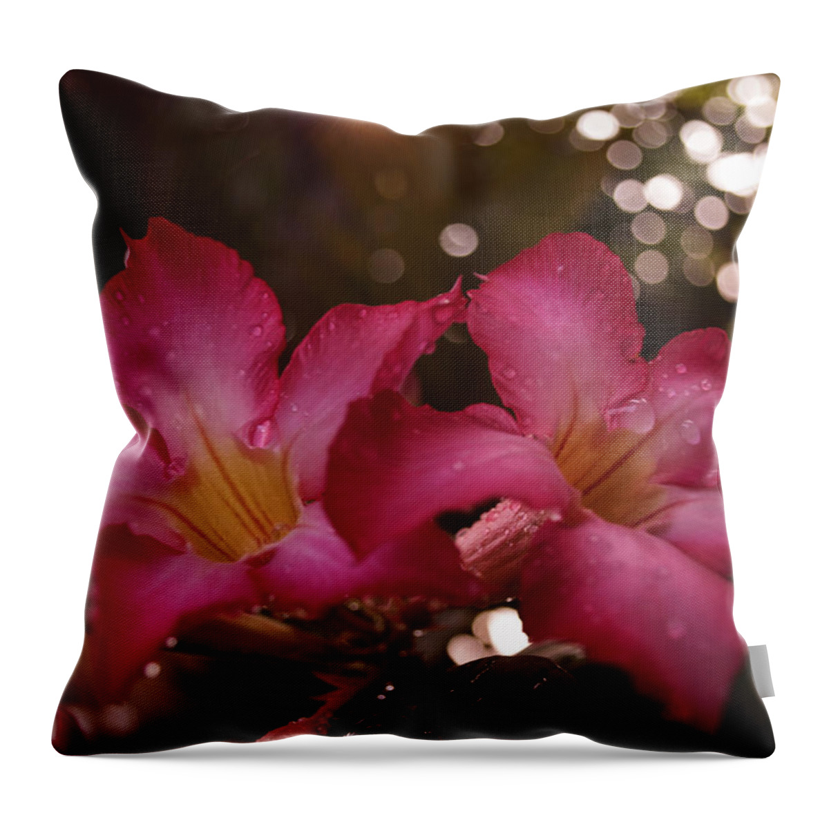 Winterpacht Throw Pillow featuring the photograph Morning Sunshine and Rain by Miguel Winterpacht