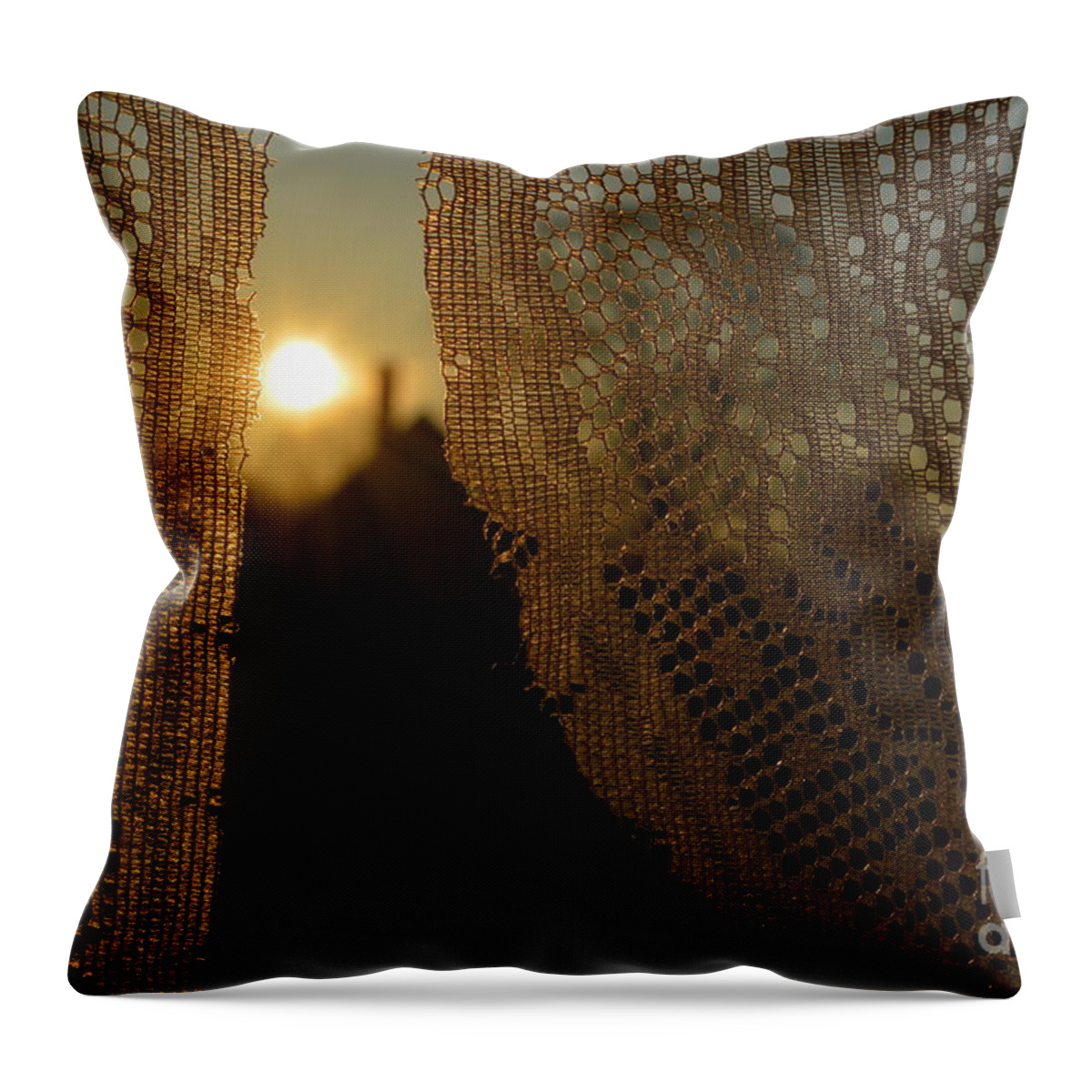 Morning Throw Pillow featuring the photograph Morning Sunshine by Beverly Shelby