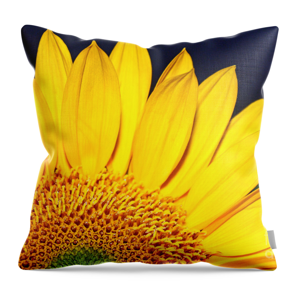 Flower Throw Pillow featuring the photograph Morning Sunshine by Kelly Holm