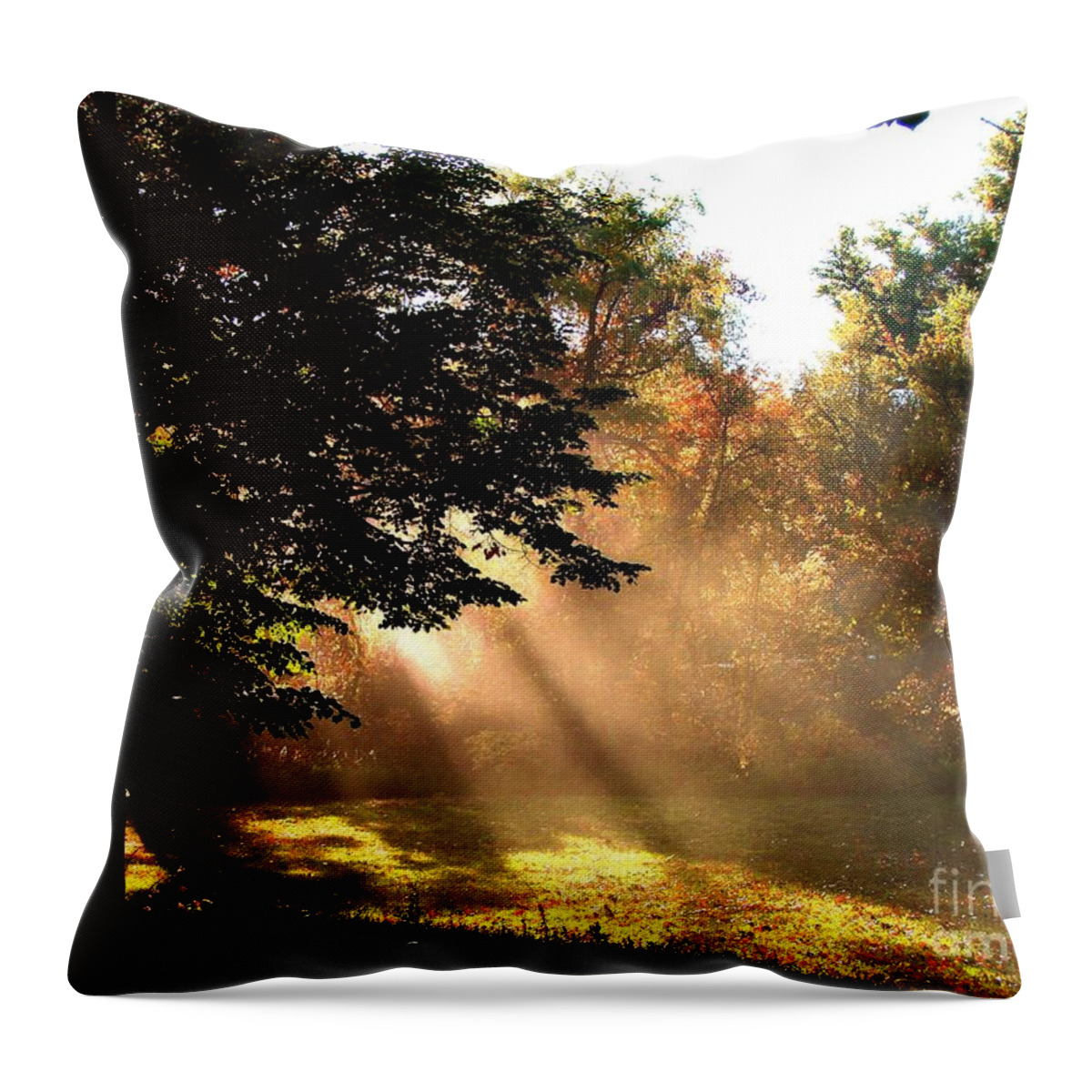 Autumn Throw Pillow featuring the photograph Morning Sunshine by Linda Cox