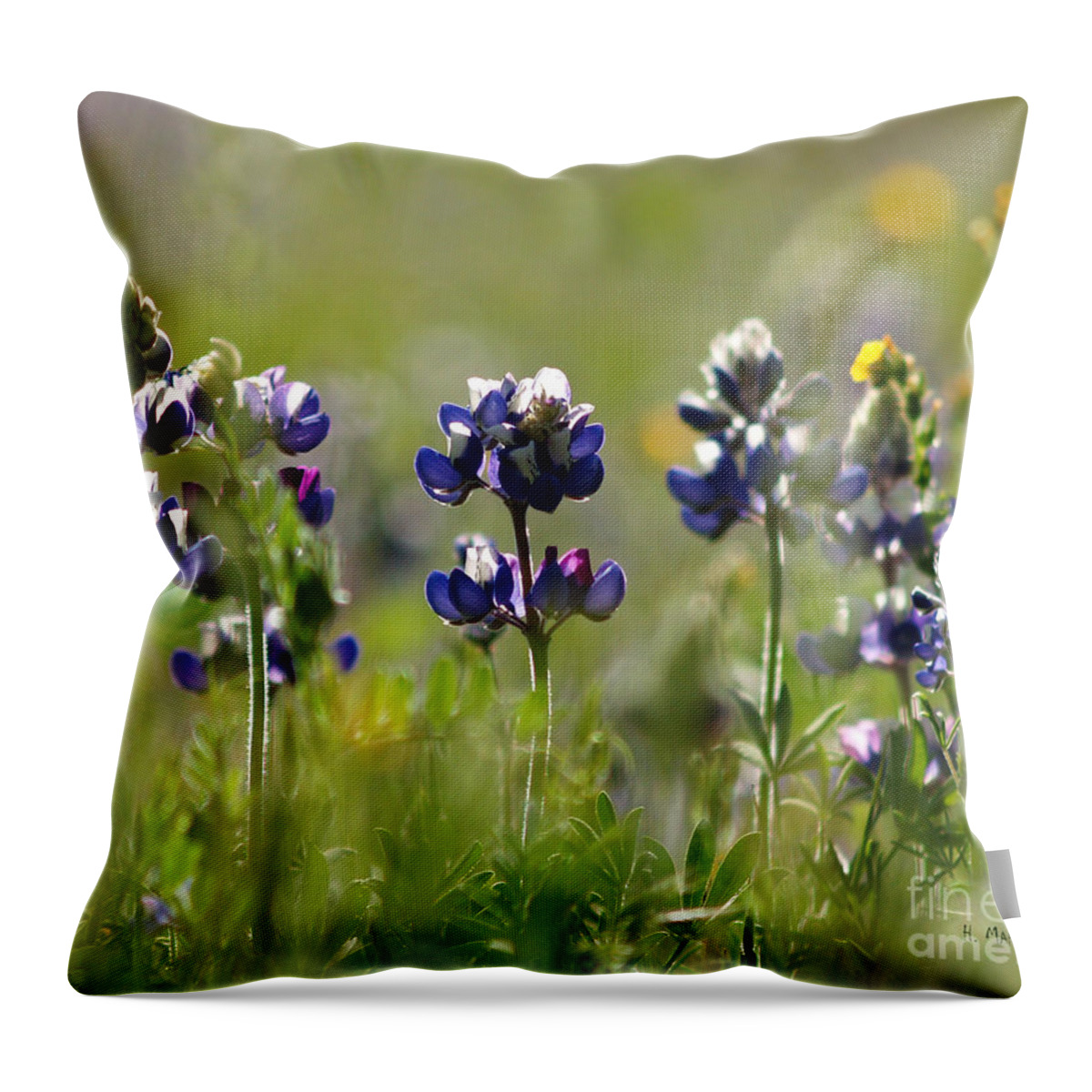 Wild Flower Image Throw Pillow featuring the photograph Morning Wild Flowers by Haleh Mahbod