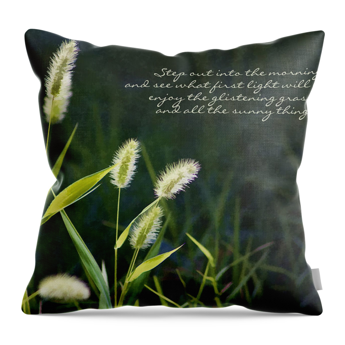 Morning Throw Pillow featuring the photograph Mornings First Light Poem by Kathy Clark by Kathy Clark