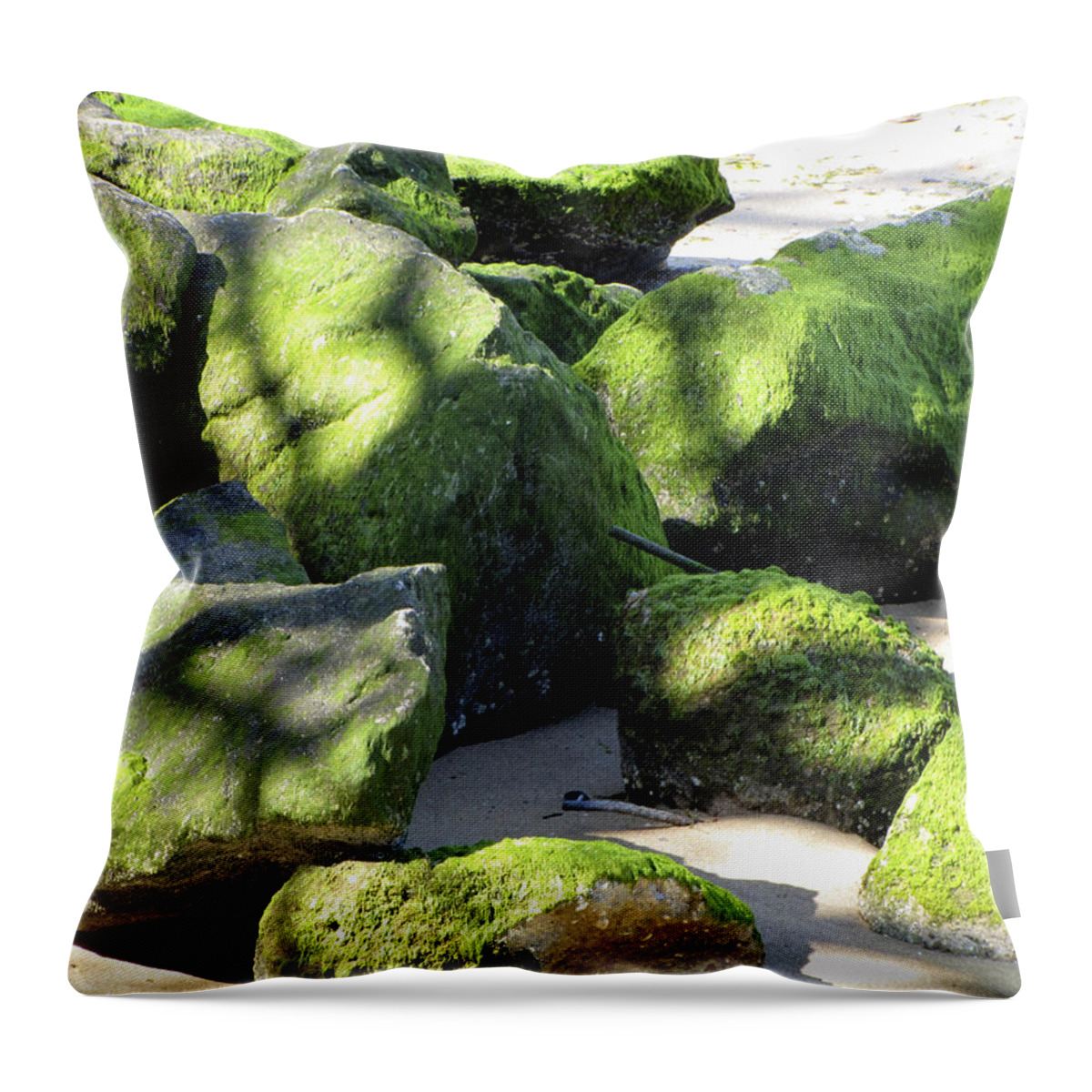 Moss Throw Pillow featuring the photograph Moss on the Rocks by Bob Slitzan