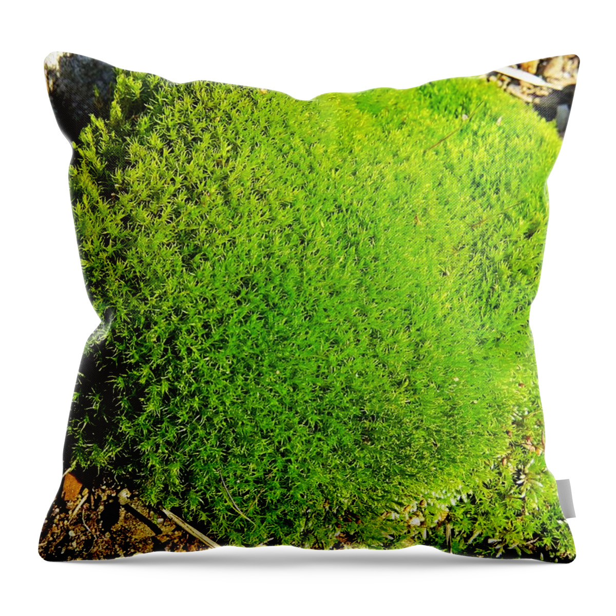 Moss Throw Pillow featuring the photograph Moss by MTBobbins Photography