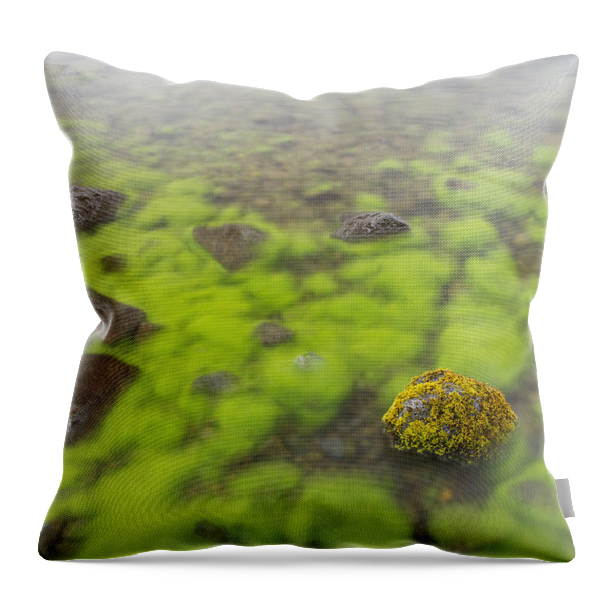 Flpa Throw Pillow featuring the photograph Mossy Stone In Lake Thingvallavatn by Bill Coster