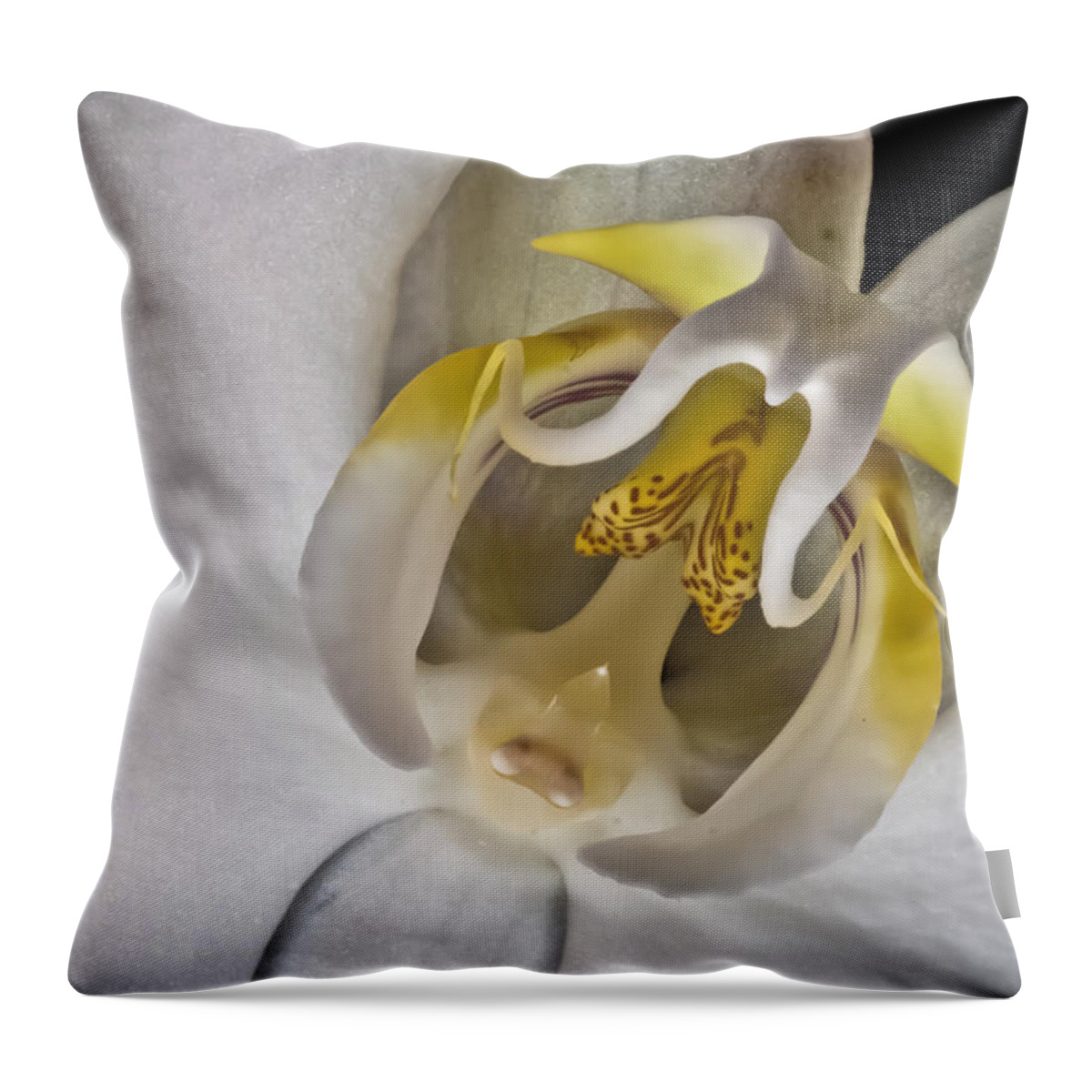 Moth Orchid Throw Pillow featuring the photograph Moth Orchid Inverted by Ron White