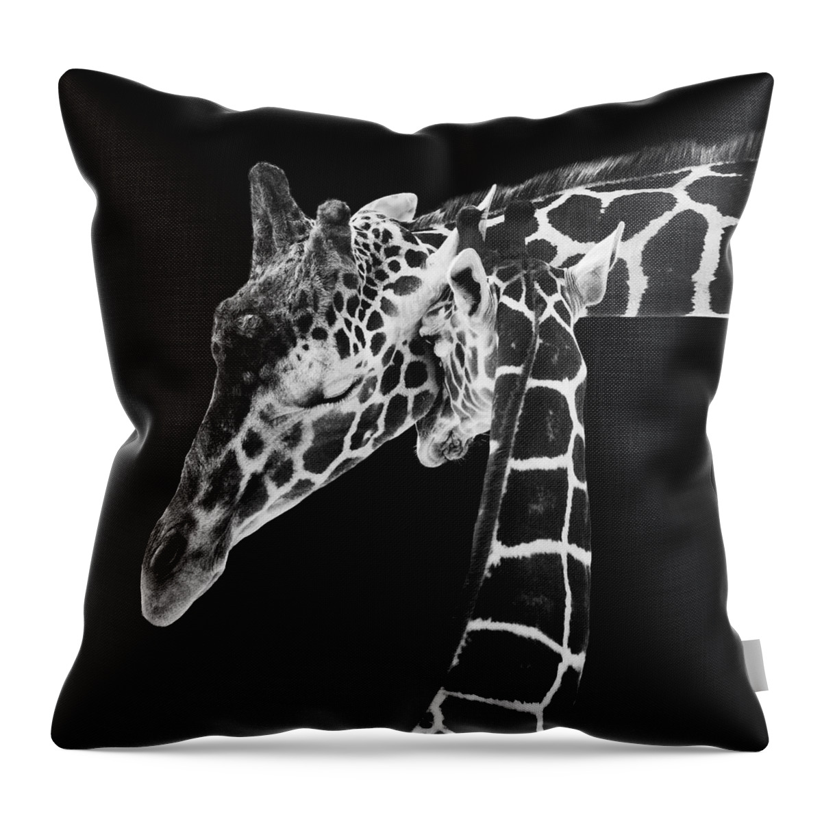3scape Photos Throw Pillow featuring the photograph Mother and Baby Giraffe by Adam Romanowicz