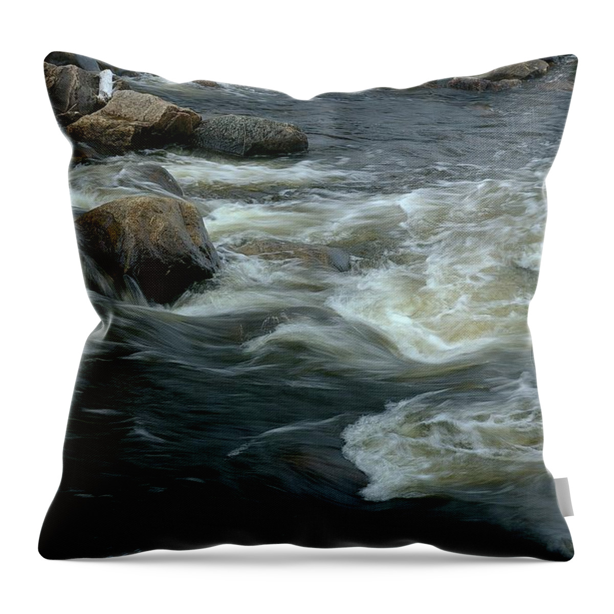 Water Throw Pillow featuring the photograph Motions by Randy Pollard