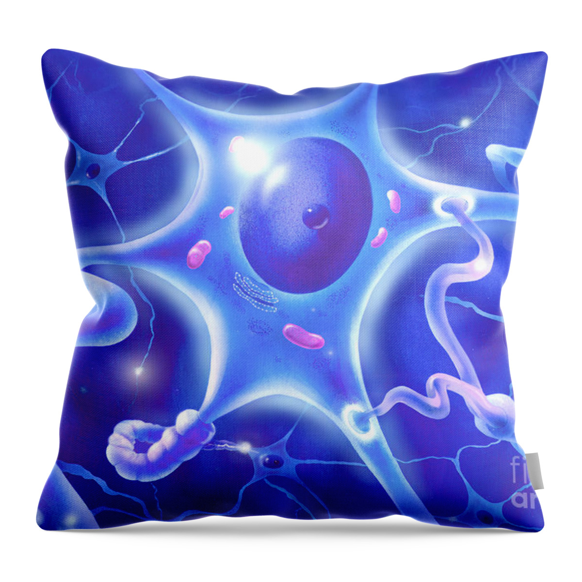 Neuron Throw Pillow featuring the photograph Motor Neuron by Jim Dowdalls