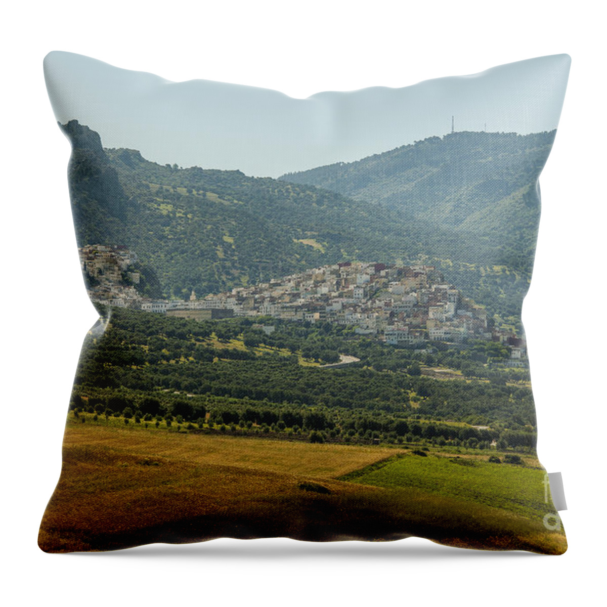 Africa Throw Pillow featuring the photograph Moulay Idriss by Patricia Hofmeester