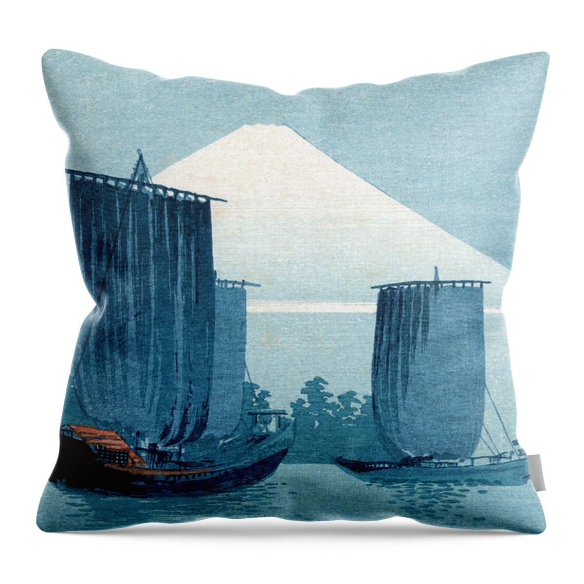 Fine Arts Throw Pillow featuring the photograph Mount Fuji, Sailboats by Science Source