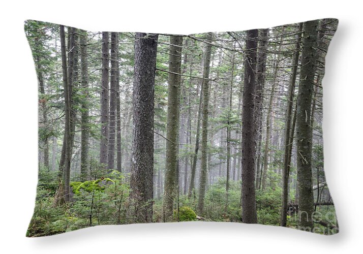 Ecosystem Throw Pillow featuring the photograph Mount Jim - Kinsman Notch New Hampshire by Erin Paul Donovan