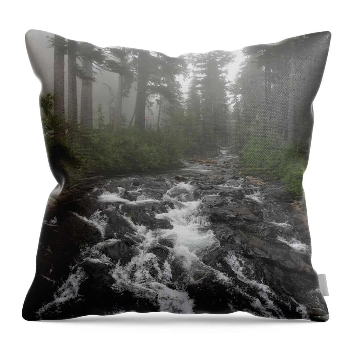 Mount Rainier National Park Washington State Throw Pillow featuring the photograph Mount Rainier National Park by Jacklyn Duryea Fraizer