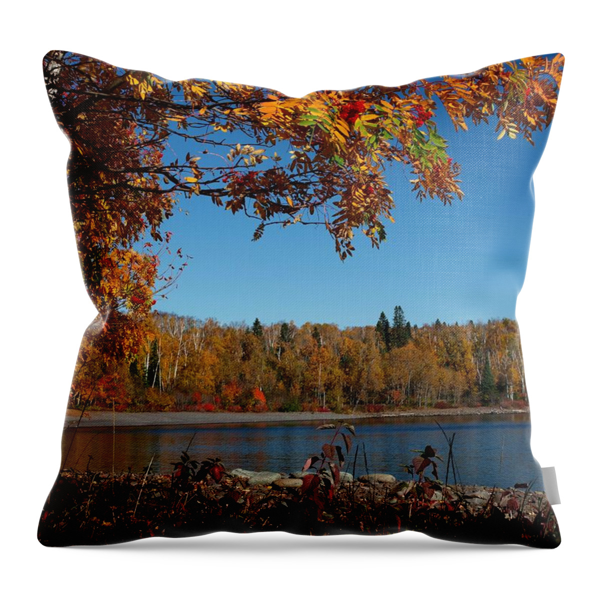Jim Throw Pillow featuring the photograph Mountain Ash in Autumn by James Peterson