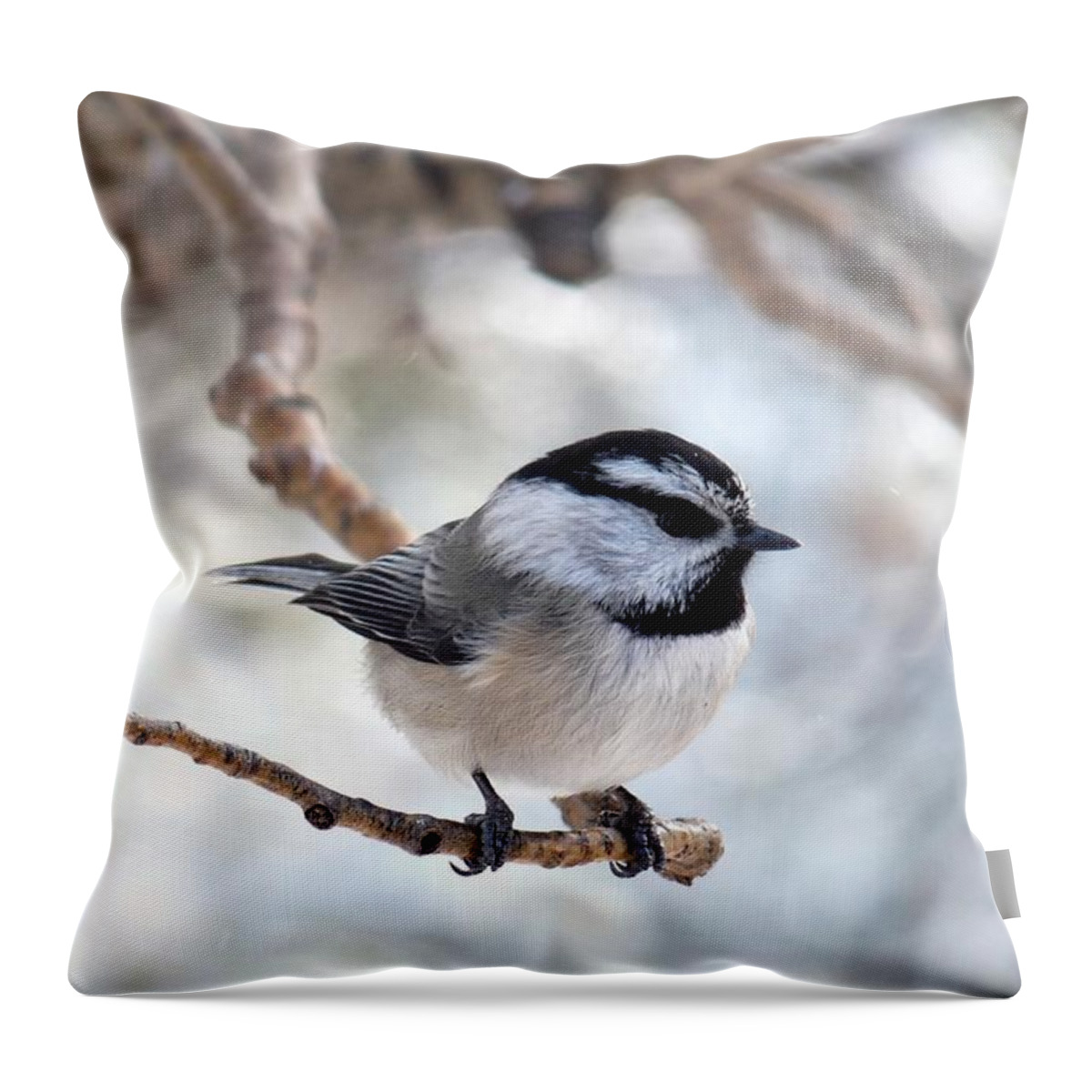 Colorado Throw Pillow featuring the photograph Mountain Chickadee on Branch by Marilyn Burton