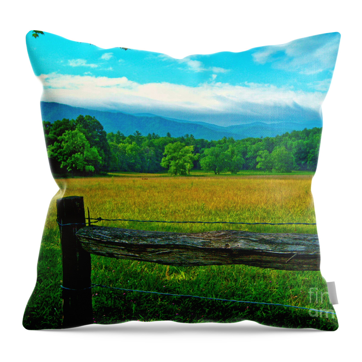 Cades Cove Throw Pillow featuring the photograph Mountain Cove by Southern Photo