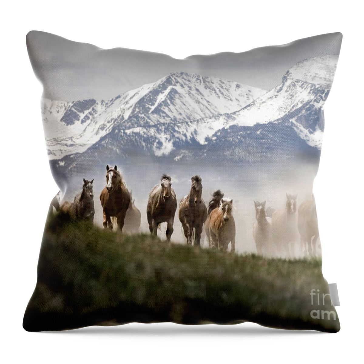 Horses Throw Pillow featuring the photograph Mountain Dust Storm by Wildlife Fine Art