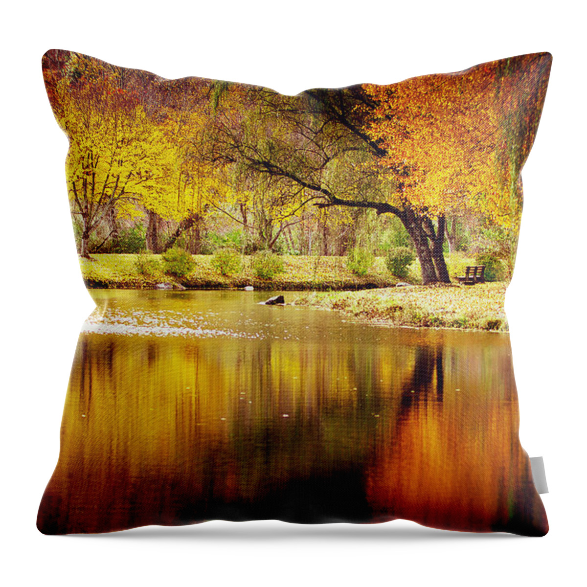 Reflections Throw Pillow featuring the photograph Mountain Lake Fall Reflections by Gray Artus