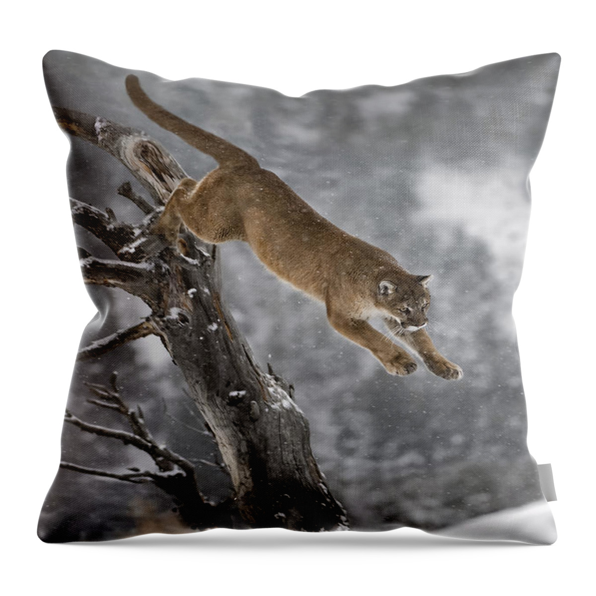 Mountain Lion Throw Pillow featuring the photograph Mountain Lion - Silent Escape by Wildlife Fine Art
