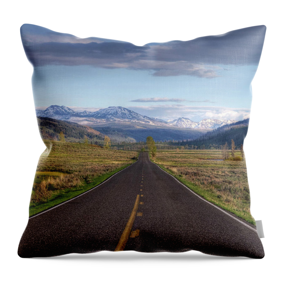 Grass Throw Pillow featuring the photograph Mountain Road by Dbushue Photography
