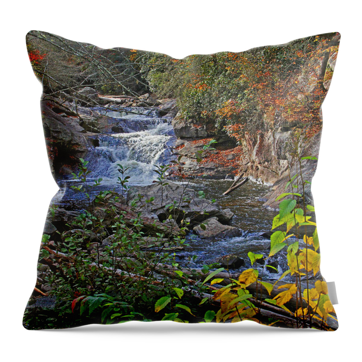 Appalachia Throw Pillow featuring the photograph Mountain Splendor by HH Photography of Florida