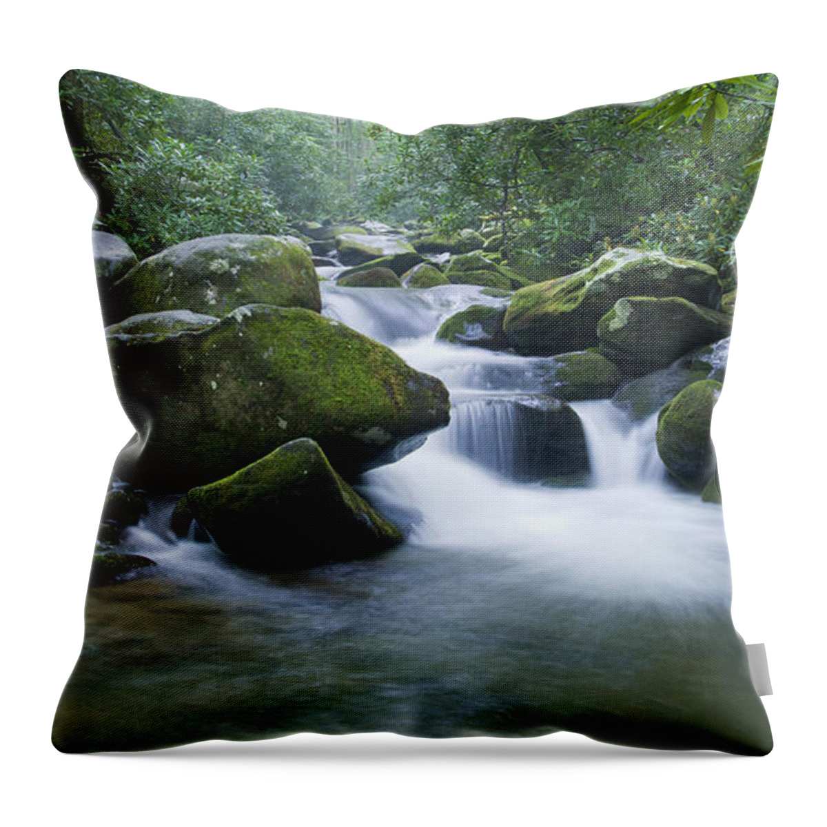 Brook Throw Pillow featuring the photograph Mountain Stream 2 by Larry Bohlin
