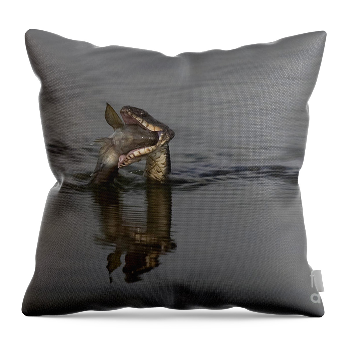 Fish Throw Pillow featuring the photograph Mouthful by Eunice Gibb