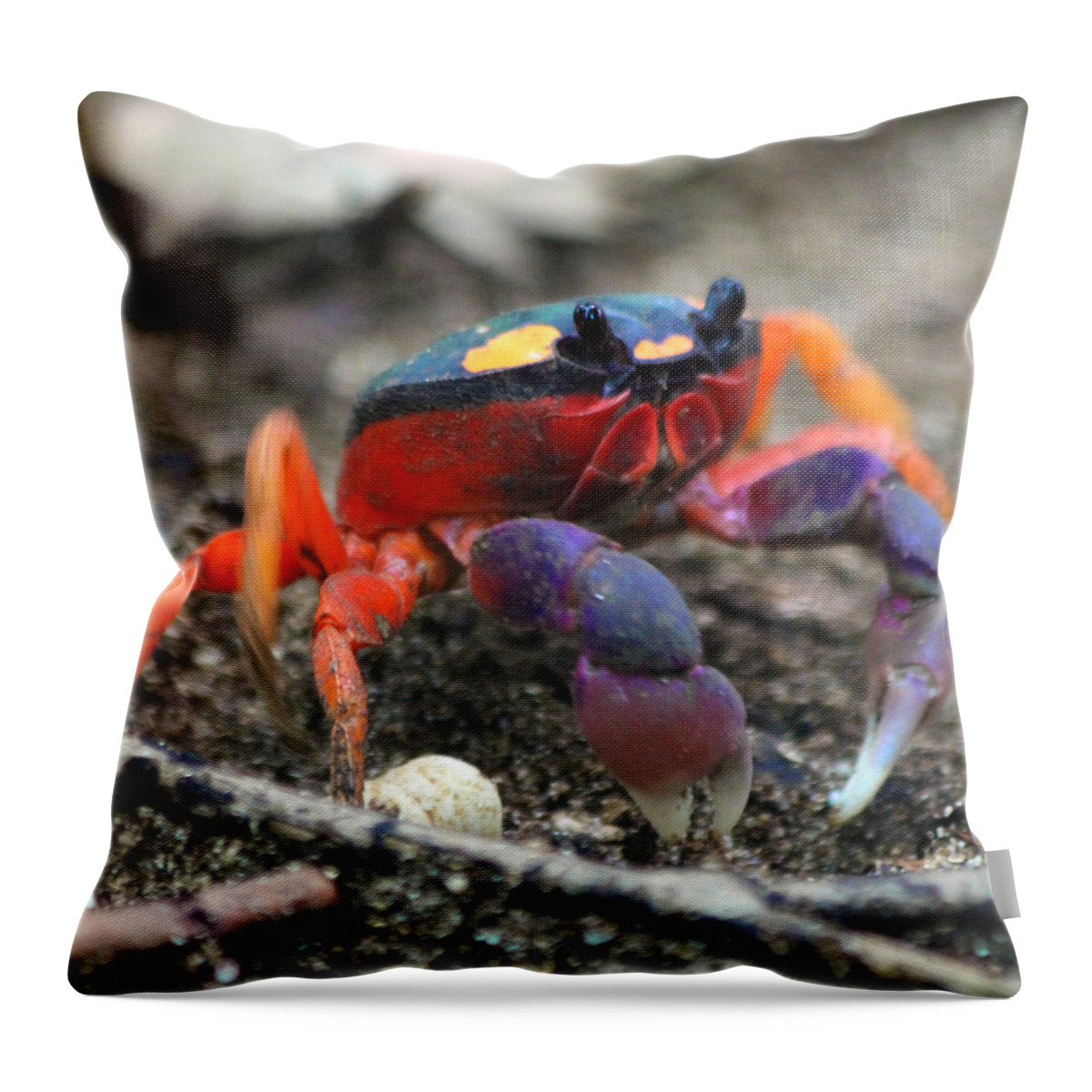 Crab Throw Pillow featuring the photograph Mouthless Crab by Nathan Miller