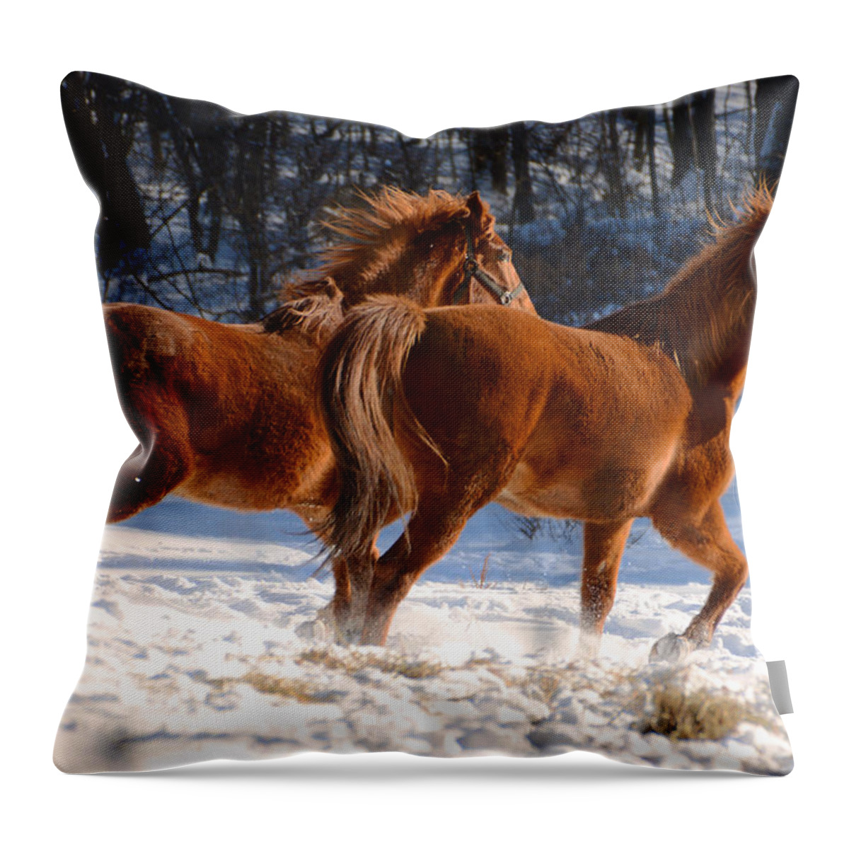 Horse Throw Pillow featuring the photograph Moving In Motion 2 by Tracy Winter