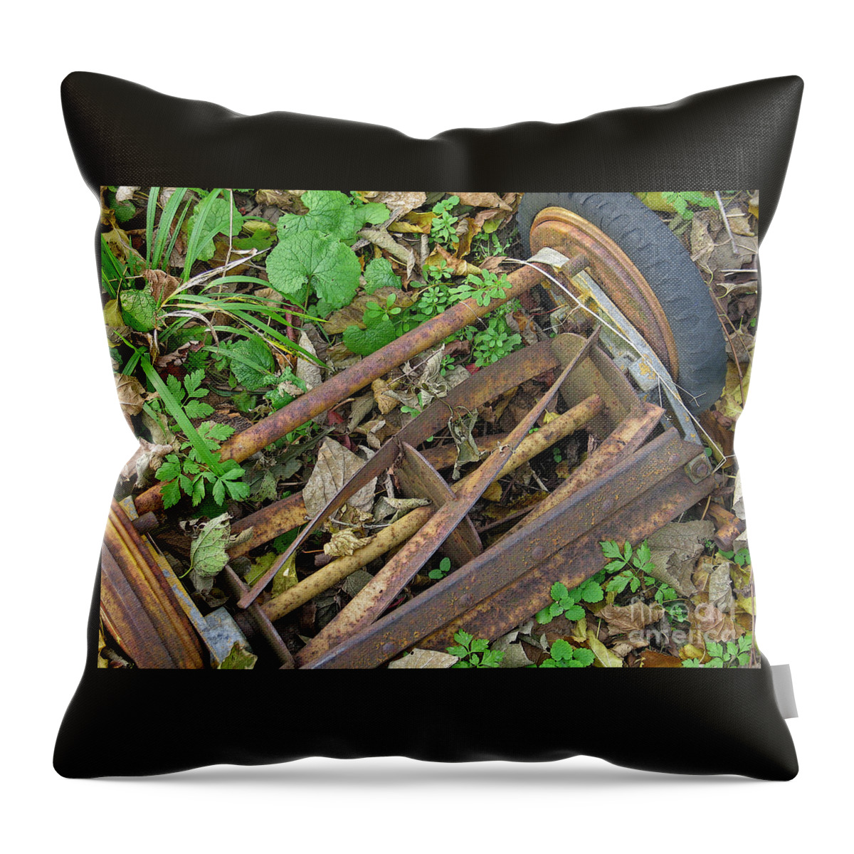Lawnmower Throw Pillow featuring the photograph Mows No More by Ann Horn