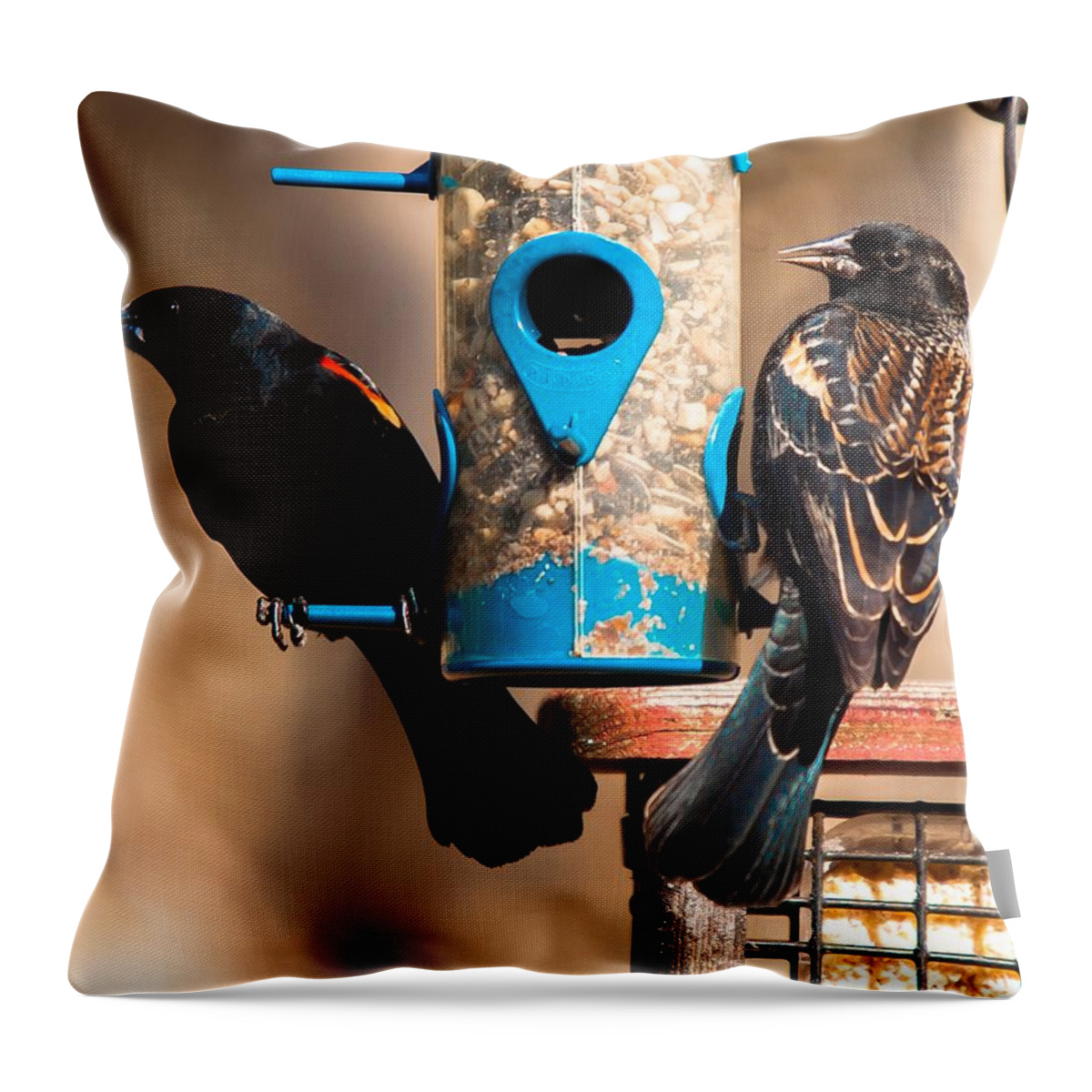 Red Winged Blackbird Throw Pillow featuring the photograph Mr. and Mrs. Red Winged Blackbird by Robert L Jackson