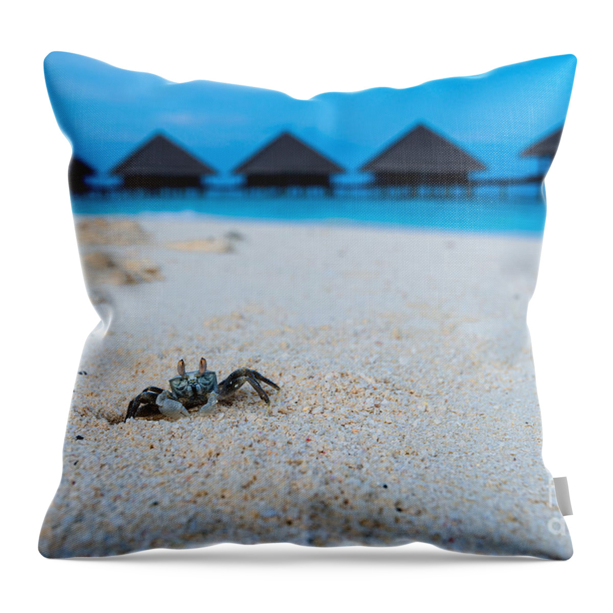 Animal Throw Pillow featuring the photograph Mr. Crab by Hannes Cmarits
