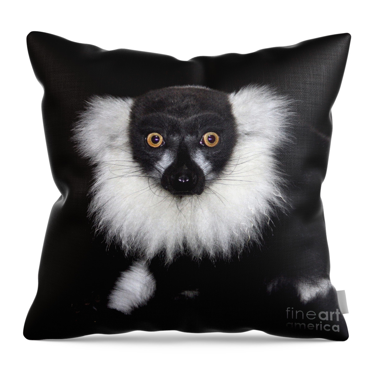 Black & White Ruffed Lemur Throw Pillow featuring the photograph Mr Lemur by Terri Waters
