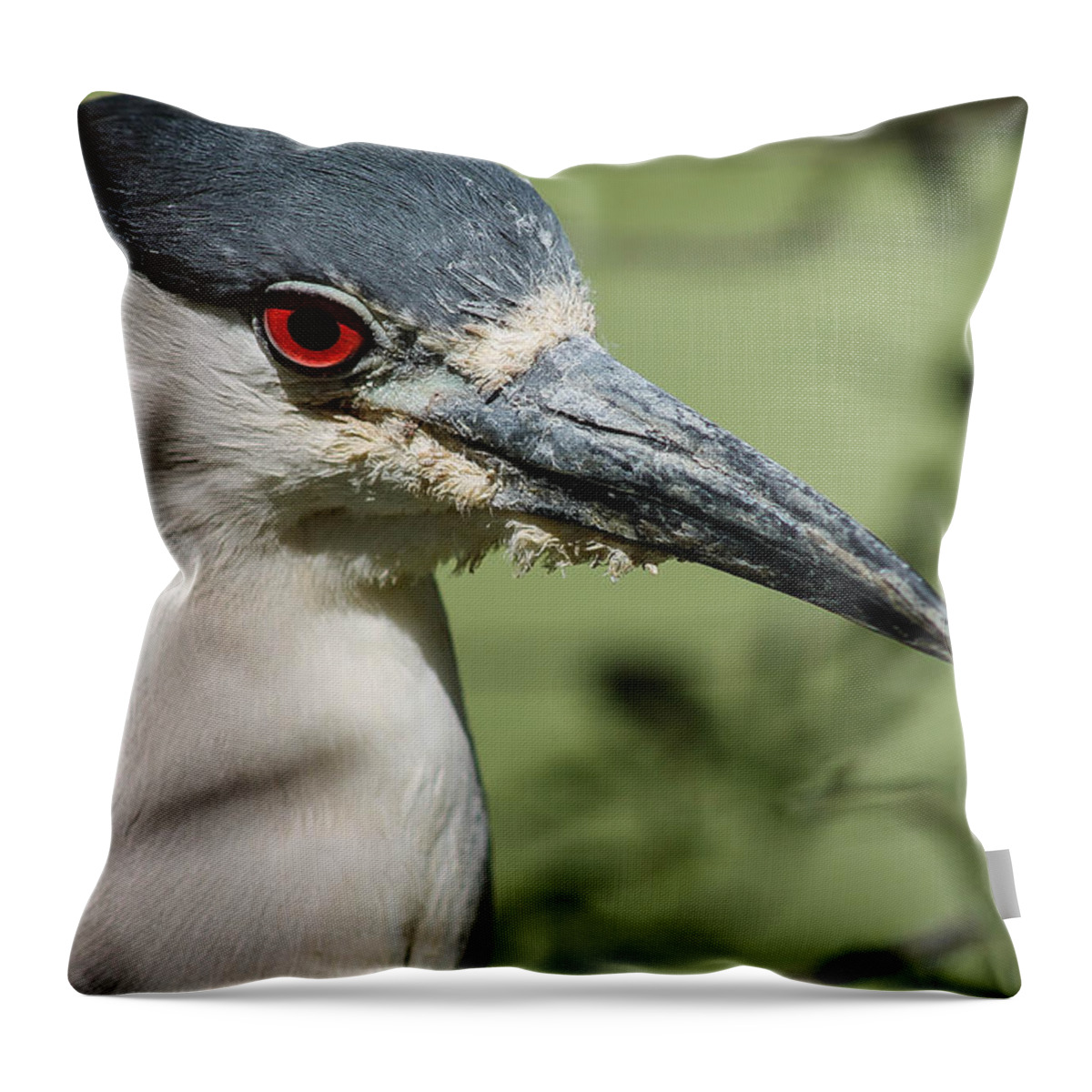 Bird Throw Pillow featuring the photograph Mr Serious by Jessica Brown