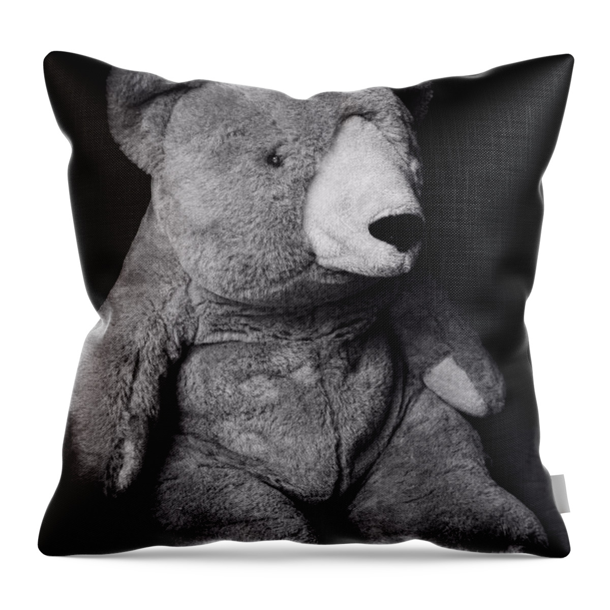 Teddy Bear Throw Pillow featuring the photograph Mr.bear ...stuffed animal by Tom Druin