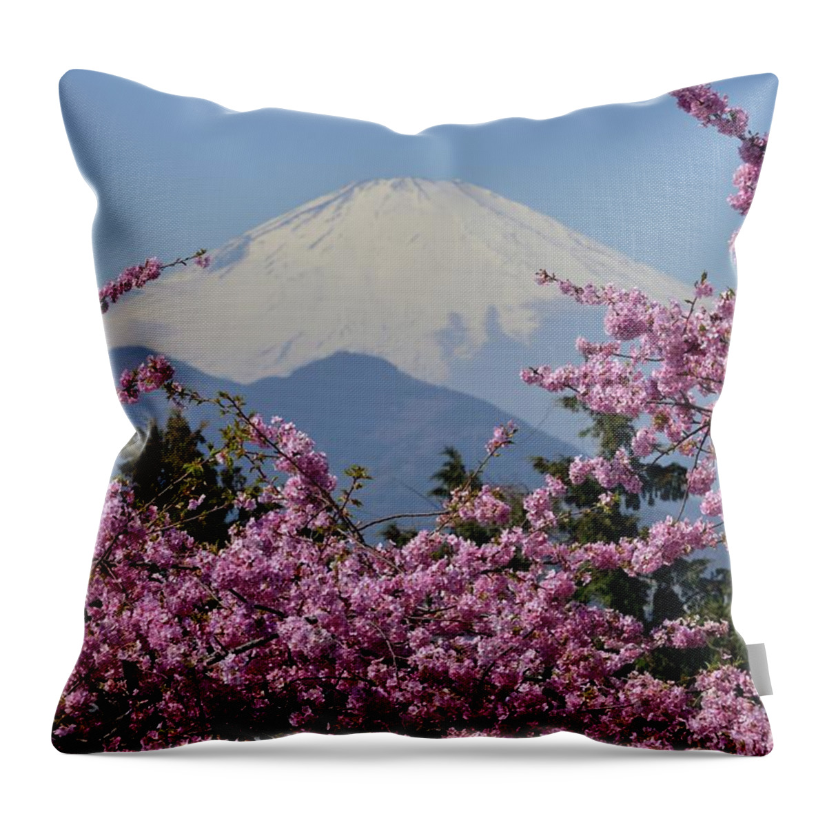 Tranquility Throw Pillow featuring the photograph Mt Fuji And Cherry Blossoms by Photos From Japan, Asia And Othe Of The World