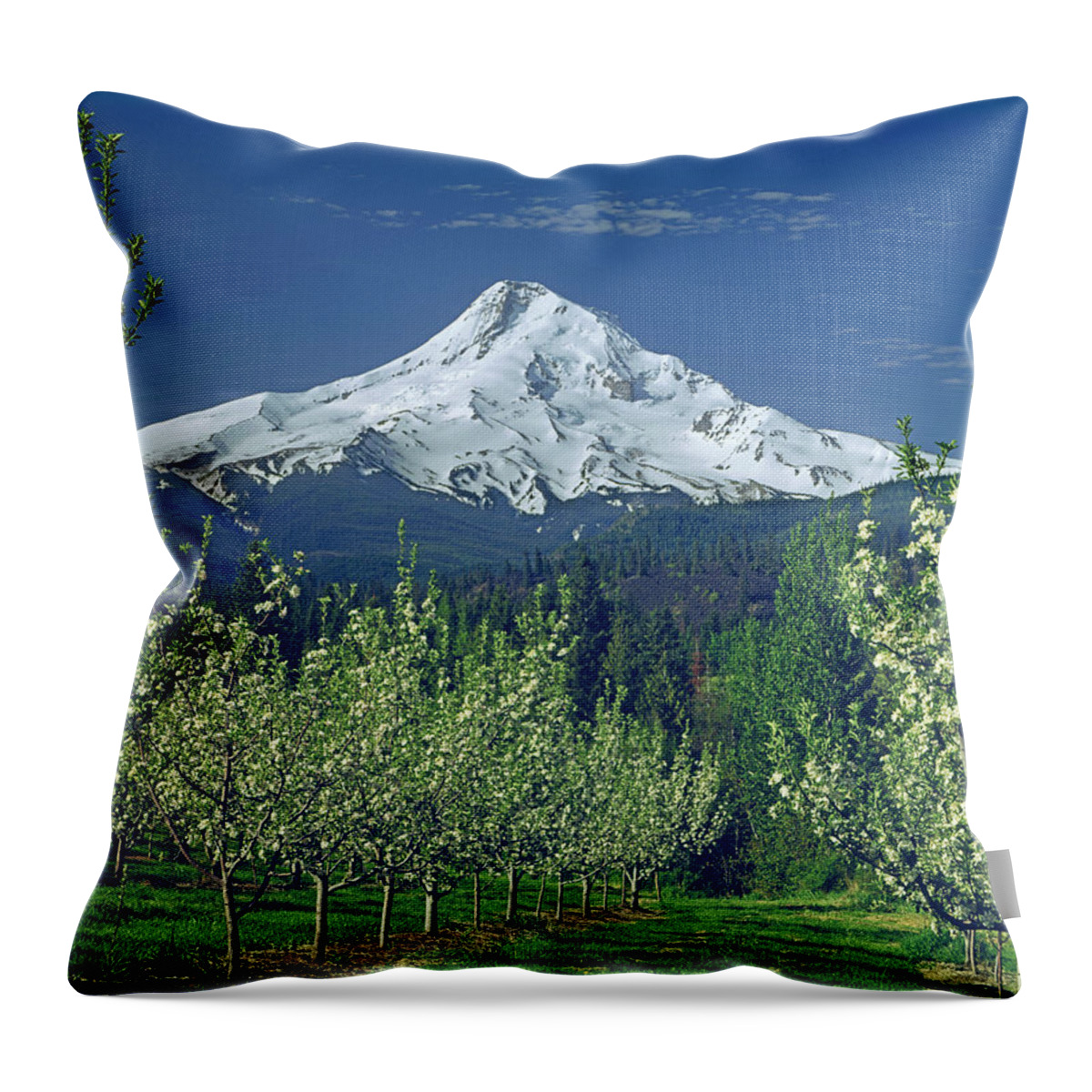 Mt. Hood Throw Pillow featuring the photograph 1M5125-Mt. Hood in Spring by Ed Cooper Photography