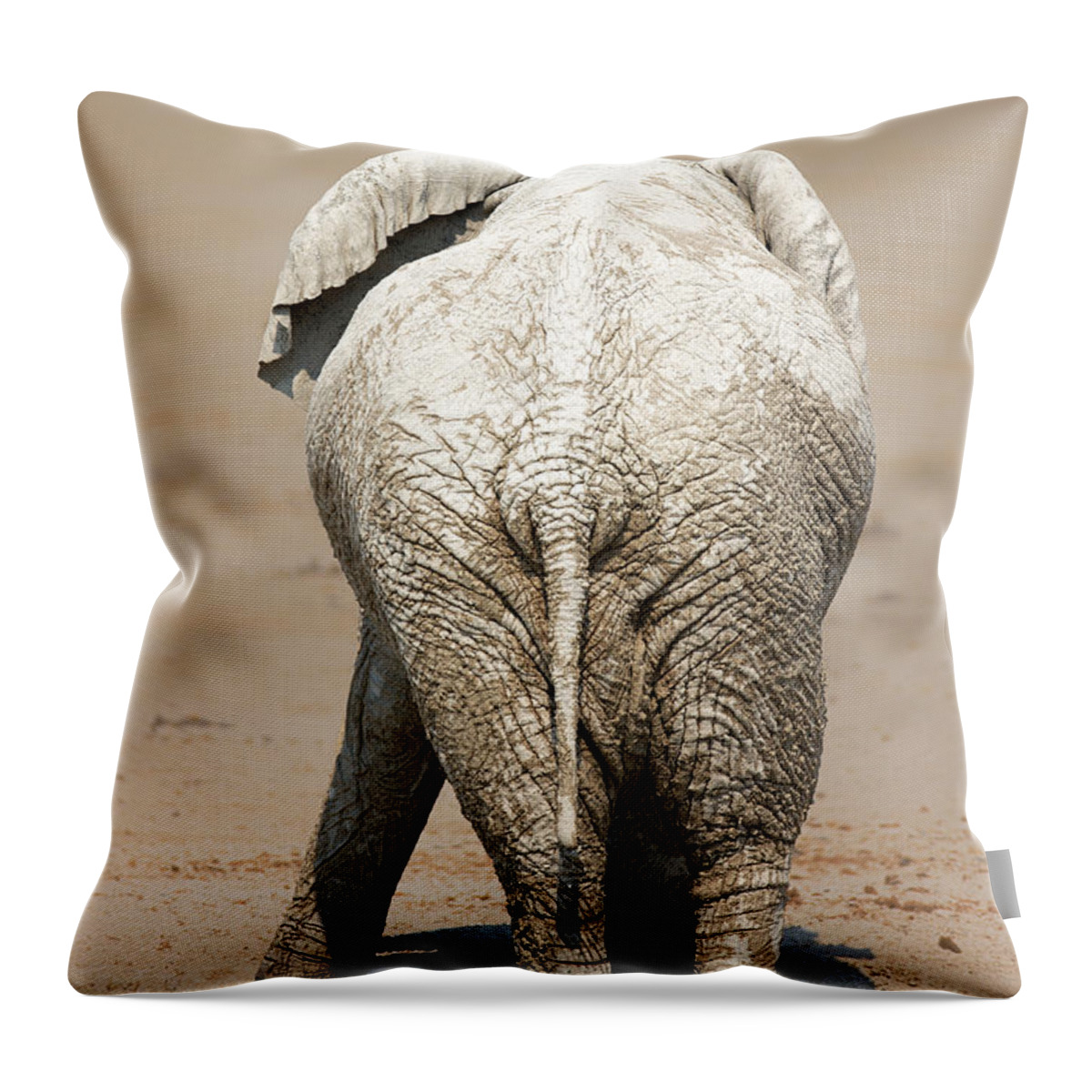 Elephant Throw Pillow featuring the photograph Muddy elephant with funny stance by Johan Swanepoel