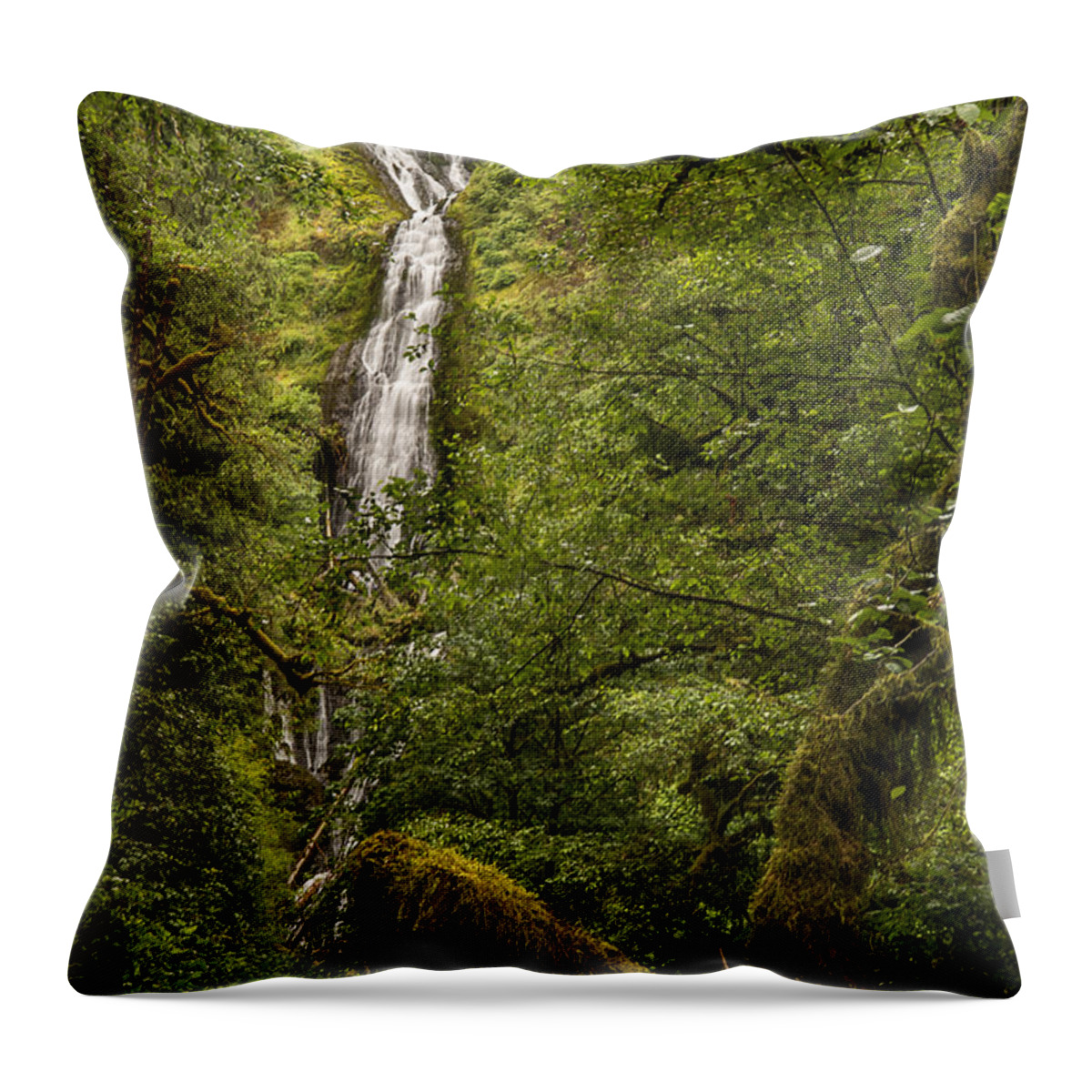 Photography Throw Pillow featuring the photograph Munson Creek Falls by Lee Kirchhevel