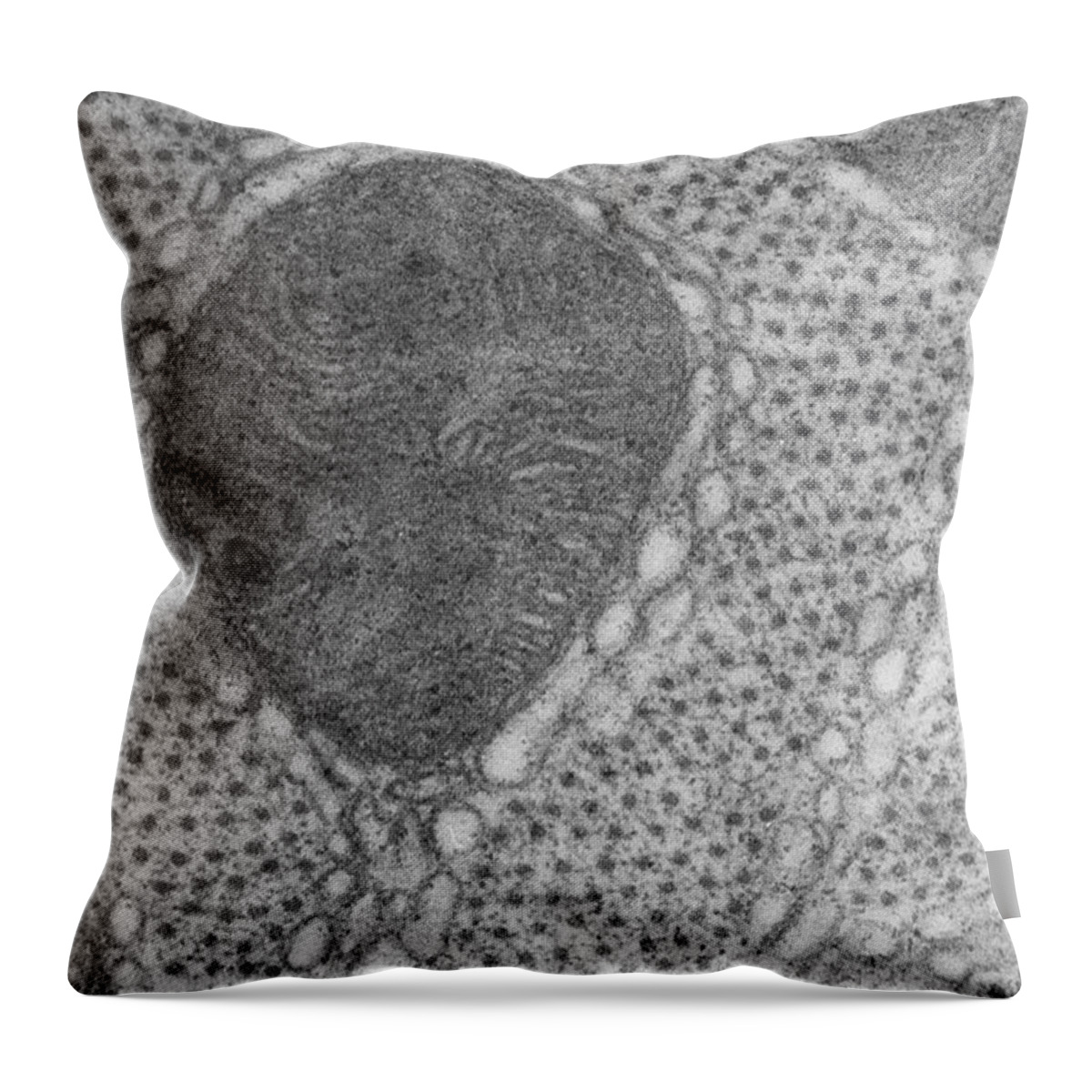 Histological Throw Pillow featuring the photograph Muscle, Tem by Biology Pics